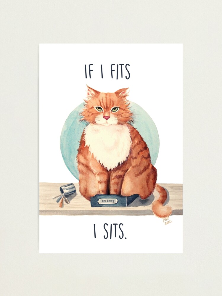 Alternate view of If I fits I sits Photographic Print