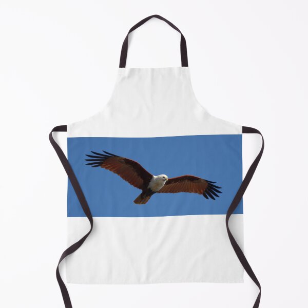 Item preview, Brahminy Kite in flight designed and sold by BirdsAlive.