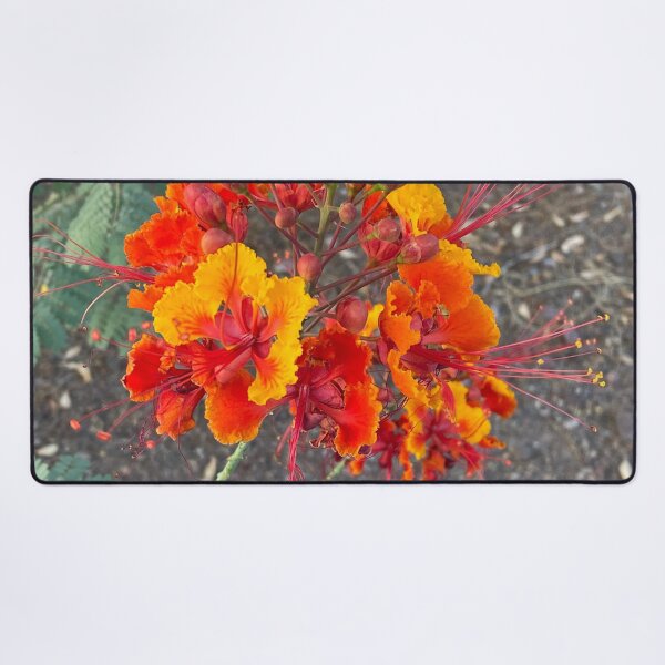 Item preview, Flower designed and sold by pinkyjainpan.