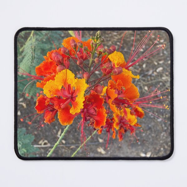 Item preview, Flower designed and sold by pinkyjainpan.