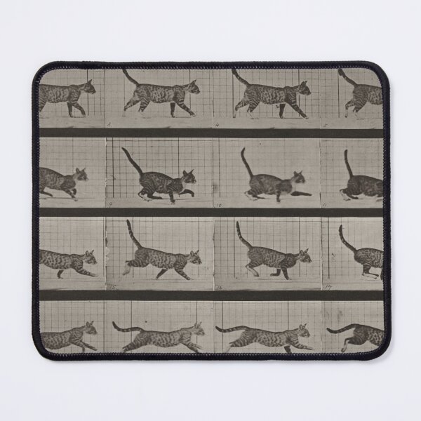 Item preview, Cat Walk Cycle designed and sold by Marrio-Design.
