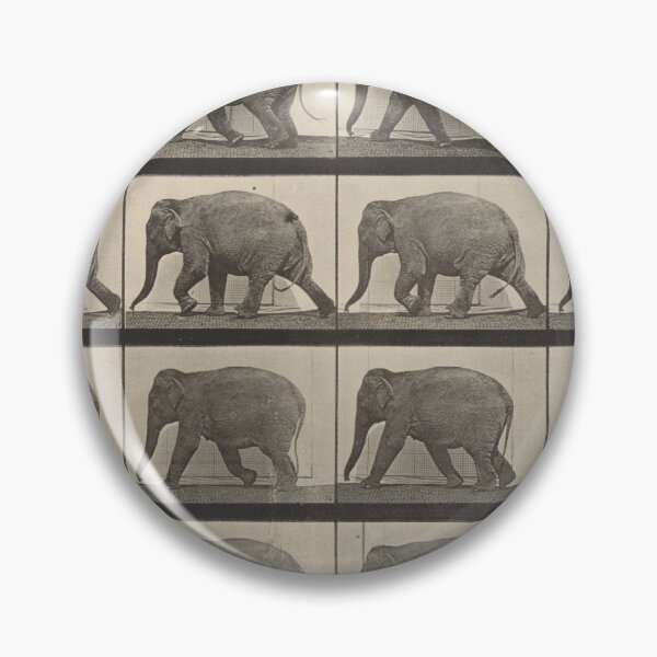 Item preview, Elephant Walk Cycle designed and sold by Marrio-Design.