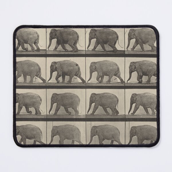 Item preview, Elephant Walk Cycle designed and sold by Marrio-Design.
