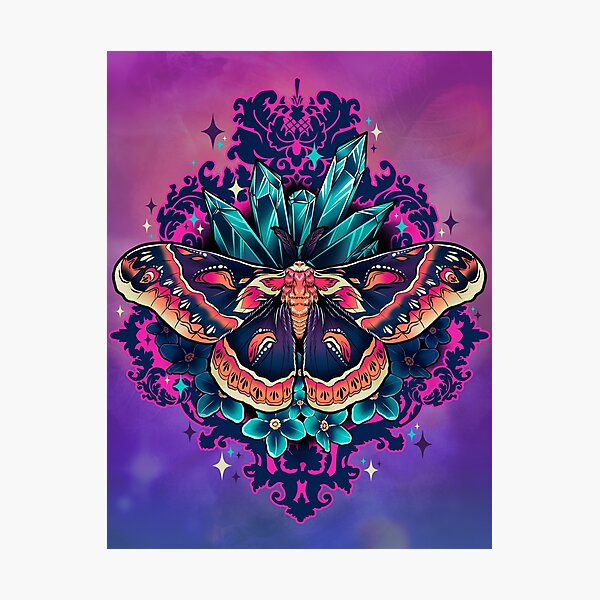 Cecropia Moth Photographic Print