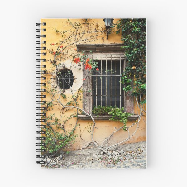 Item preview, Urban motif, Mexico, San Miguel de Allende designed and sold by studio838.