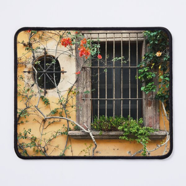 Item preview, Urban motif, Mexico, San Miguel de Allende designed and sold by studio838.