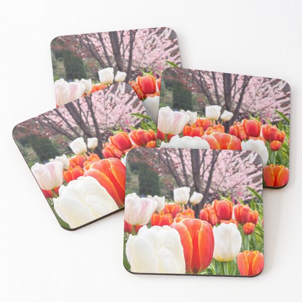 Item preview, Vibrant Orange and White Tulips beneath Pink Blossom Tree designed and sold by Be Captured by Brittany Emma.