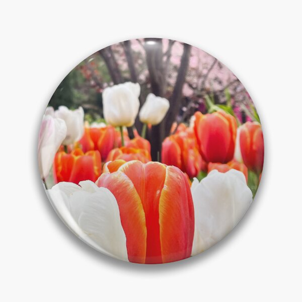 Item preview, Vibrant Orange and White Tulips beneath Pink Blossom Tree designed and sold by Be Captured by Brittany Emma.