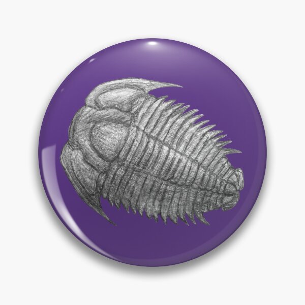 Item preview, Trilobite fossil  designed and sold by DoodleSnake58.