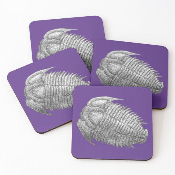 Item preview, Trilobite fossil  designed and sold by DoodleSnake58.