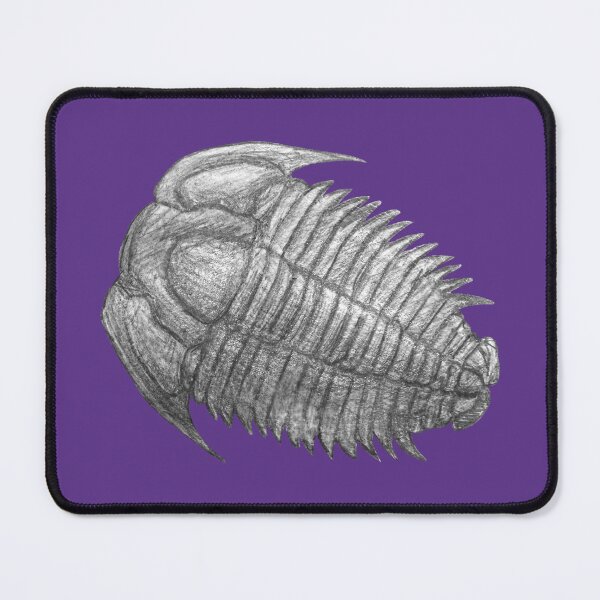 Item preview, Trilobite fossil designed and sold by DoodleSnake58.