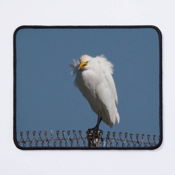 Item preview, A Real Angry Bird  designed and sold by Ralph Goldsmith.