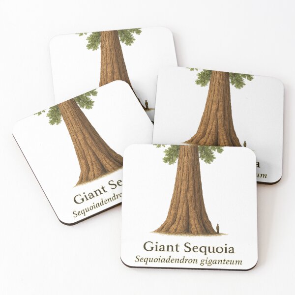 Artikelvorschau, Riesenmammutbaum Botanische Illustration 6 – Sequoiadendron giganteum entworfen und verkauft von BloomKind.
