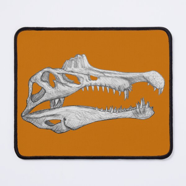 Item preview, Spinosaurus Aegiptiacus skull designed and sold by DoodleSnake58.
