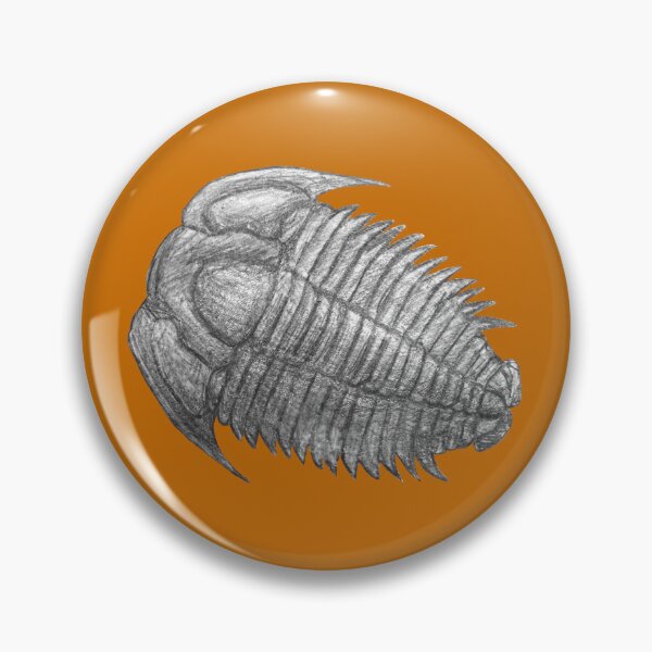 Item preview, Trilobite fossil  designed and sold by DoodleSnake58.