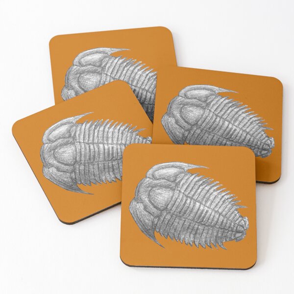Item preview, Trilobite fossil  designed and sold by DoodleSnake58.