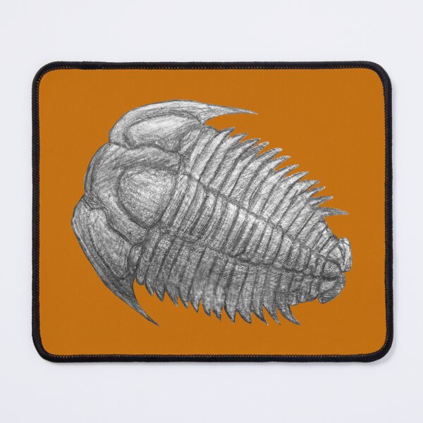 Item preview, Trilobite fossil designed and sold by DoodleSnake58.
