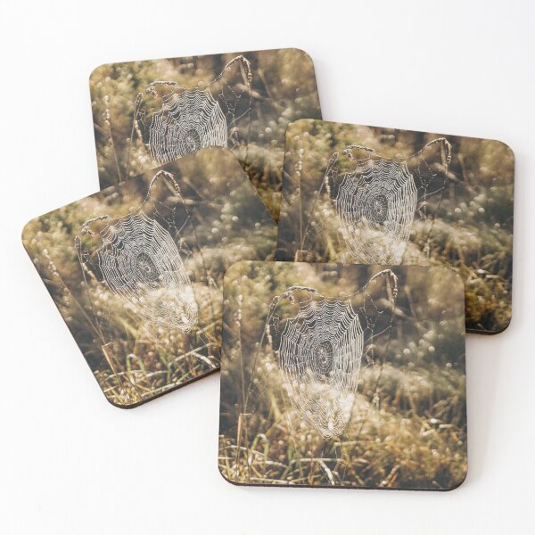 Item preview, Cobwebs in autumn designed and sold by AlinaLevina.