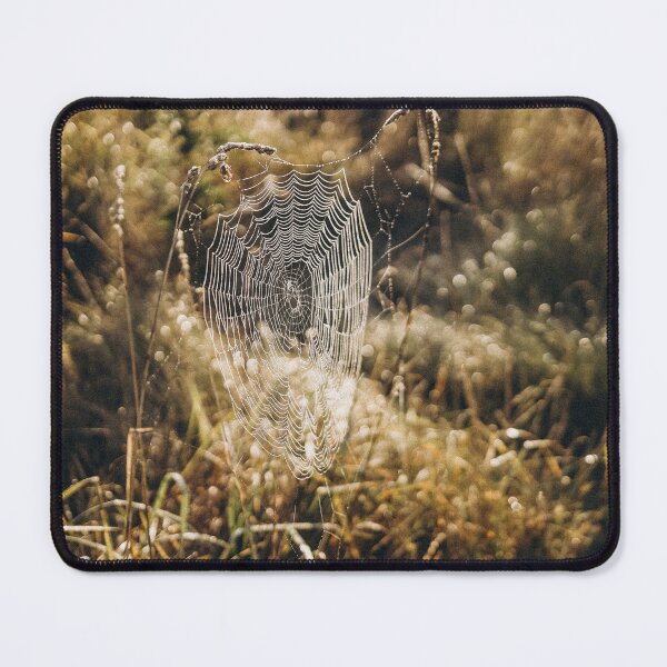 Item preview, Cobwebs in autumn designed and sold by AlinaLevina.