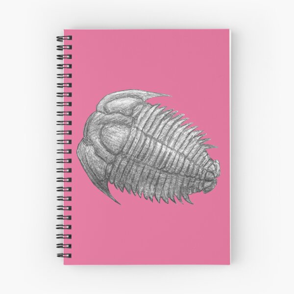 Item preview, Trilobite fossil  designed and sold by DoodleSnake58.