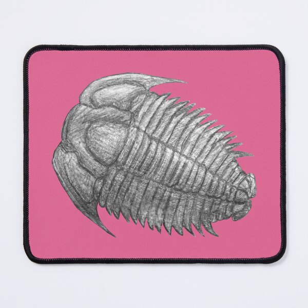Item preview, Trilobite fossil designed and sold by DoodleSnake58.