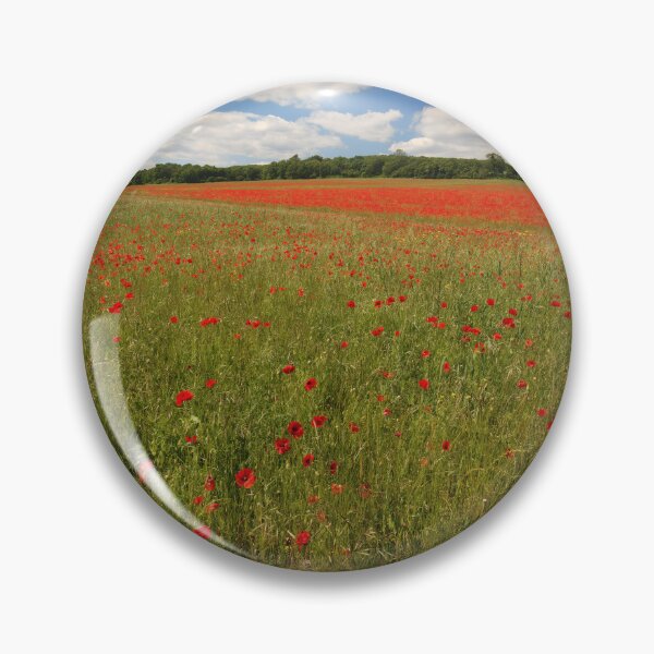 Item preview, Masses of Bright Red Poppies in a Poppy Field under a blue sky in Kent England UK designed and sold by John Gilham - Landscape Photography.