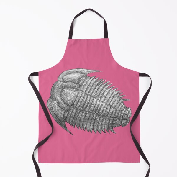 Item preview, Trilobite fossil designed and sold by DoodleSnake58.