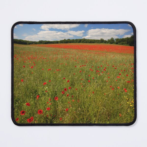 Item preview, Masses of Bright Red Poppies in a Poppy Field under a blue sky in Kent England UK designed and sold by John Gilham - Landscape Photography.