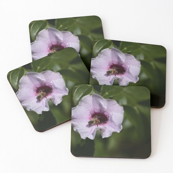 Item preview, Bee on a Pink Flower designed and sold by MercerImages.