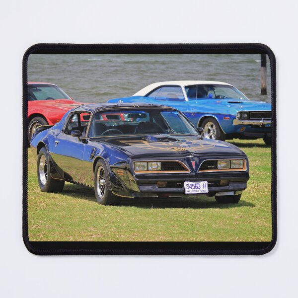 Item preview, Black Firebird surrounded designed and sold by Andrew Felton.