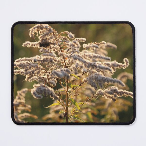 Item preview, Autumn designed and sold by Justulka.