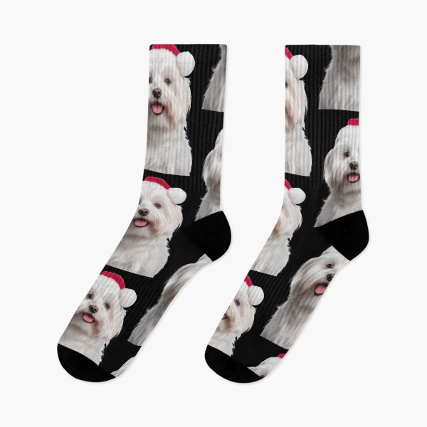 Item preview, Maltese dog with Christmas Hat – Festive Maltese Xmas Design designed and sold by LazyOwlStore.
