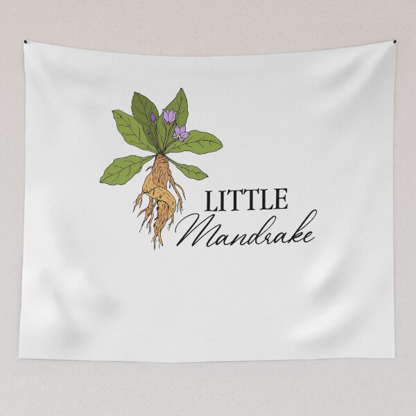 Item preview, Little Mandrake Botanical Illustration designed and sold by NickJenkins21.