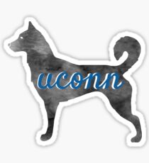 University of Connecticut Sticker
