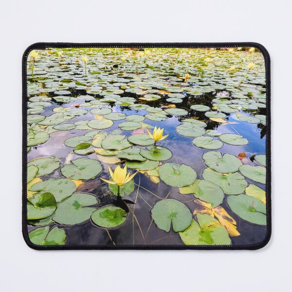 Item preview, Water Lily Pond Garden Scene designed and sold by dcroffe.