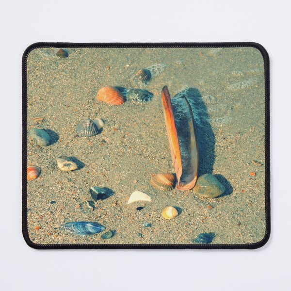 Item preview, Pure Beach Brown and white seashell designed and sold by newandchange.