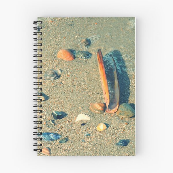 Item preview, Pure Beach Brown and white seashell  designed and sold by newandchange.