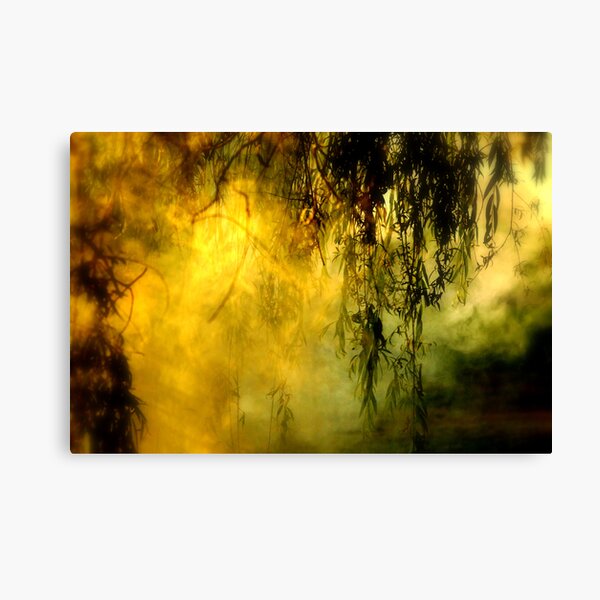 Misty Willow Canvas Print