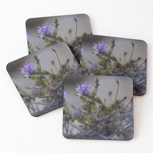 Item preview, Small Purple Flowers Growing Among Rocks on Rugged Desert Terrain With Sparse Foliage designed and sold by Nmallia.