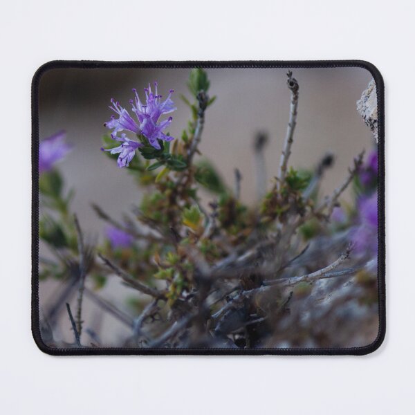 Item preview, Small Purple Flowers Growing Among Rocks on Rugged Desert Terrain With Sparse Foliage designed and sold by Nmallia.