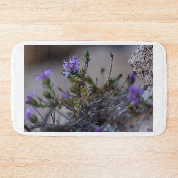 Item preview, Small Purple Flowers Growing Among Rocks on Rugged Desert Terrain With Sparse Foliage designed and sold by Nmallia.