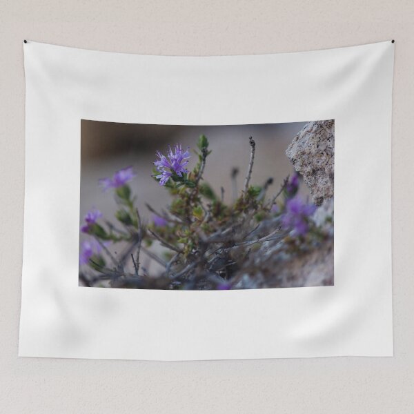Item preview, Small Purple Flowers Growing Among Rocks on Rugged Desert Terrain With Sparse Foliage designed and sold by Nmallia.