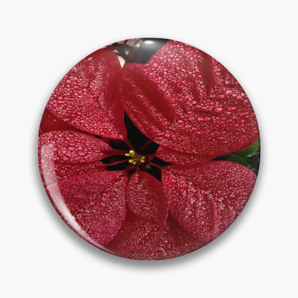 Item preview, Radiant Red Poinsettias designed and sold by DixieGirlStudio.