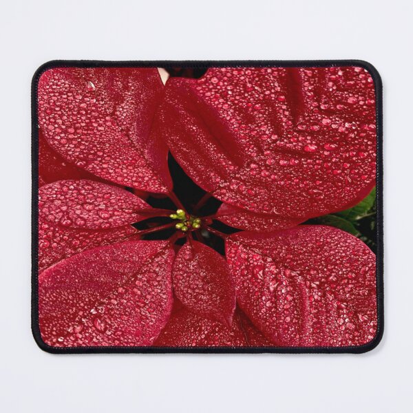 Item preview, Radiant Red Poinsettias designed and sold by DixieGirlStudio.