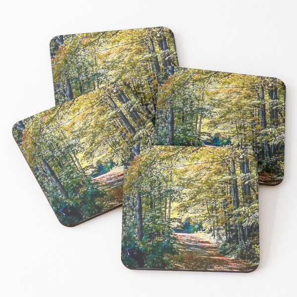 Item preview, Brighter Autumn Drive designed and sold by SRosuphotos.