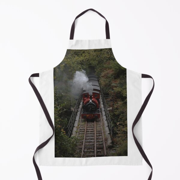 Item preview, Sir Haydn At Dolgoch (Talyllyn) designed and sold by LPYLPhotography.