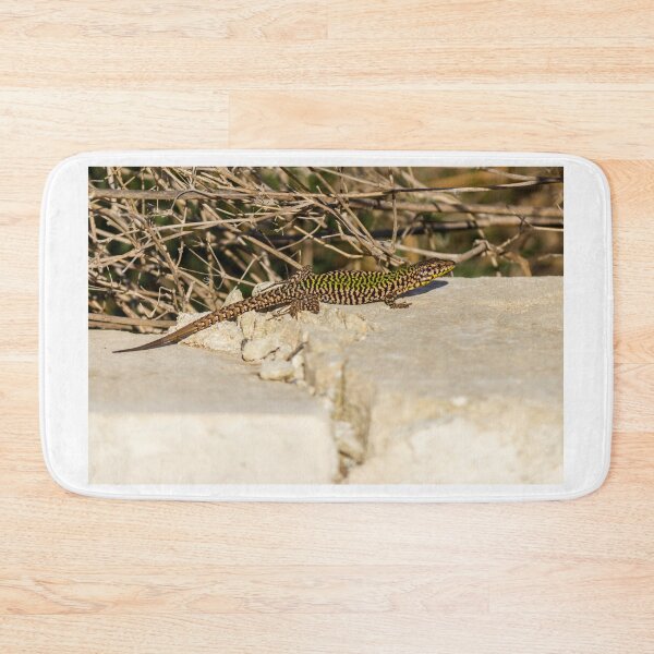 Item preview, Colorful Leopard Gecko Resting on Stone Steps Outdoors Under Warm Sunlight In Natural Environment Photography designed and sold by Nmallia.