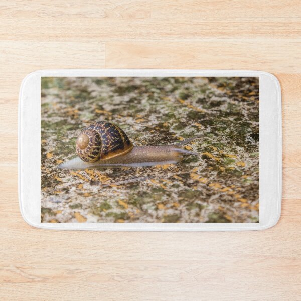 Item preview, Close-Up Snail Crawling Across Mossy Rock Surface with Yellow Lichen Patterns in Morning Light Glow designed and sold by Nmallia.