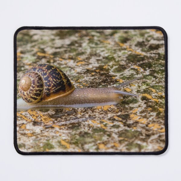 Item preview, Close-Up Snail Crawling Across Mossy Rock Surface with Yellow Lichen Patterns in Morning Light Glow designed and sold by Nmallia.