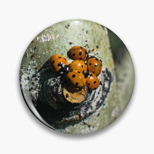 Item preview, Lady bugs clustering designed and sold by CanadianWild418.